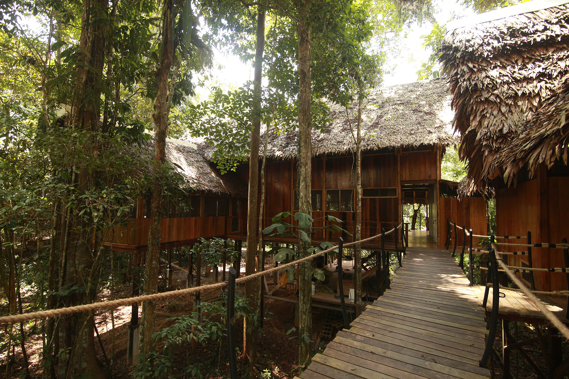 Lupuna Luz Eco Retreat